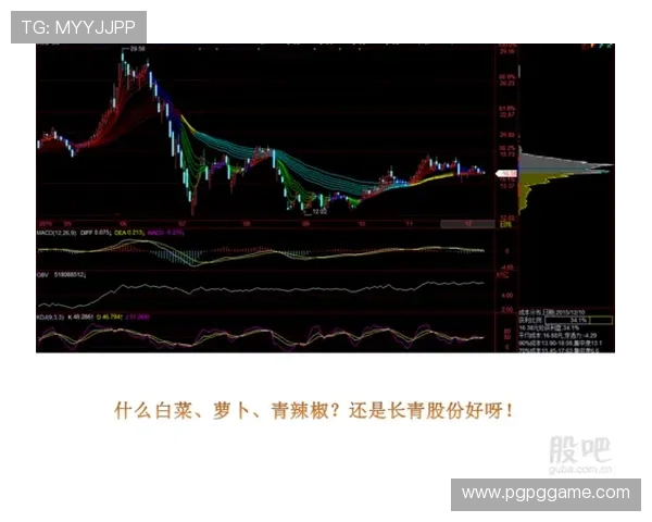 探索白菜博客资源论坛：分享与交流的最佳平台